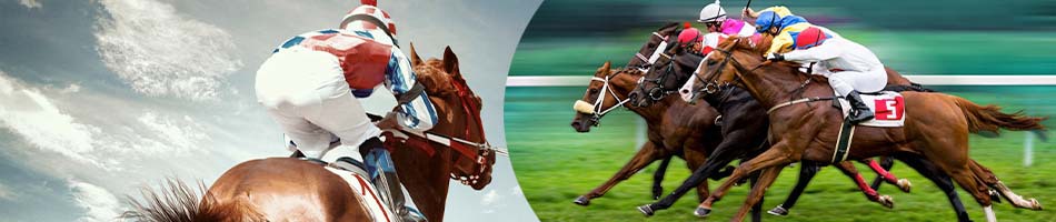 uae betting sites